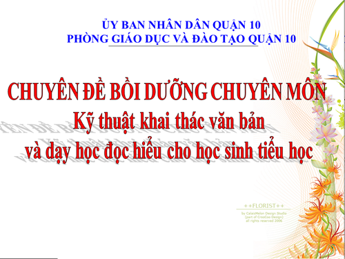 Chuyên đề bồi dưỡng chuyên môn Kỹ thuật khai thác văn bản và dạy học đọc hiểu cho học sinh tiểu học
